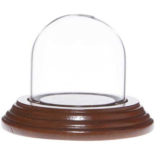 Plymor 2" x 2" Mini Glass Display Dome Cloche (Walnut Veneer Base) - color: Walnut Veneer Base