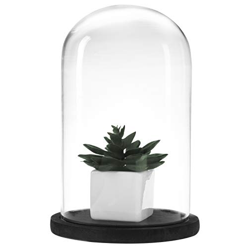 MyGift Bell Jar Glass Cloche Black Wood Base 10 Inch Display Dome - color: Black