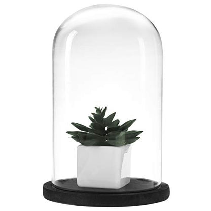 MyGift Bell Jar Glass Cloche Black Wood Base 10 Inch Display Dome - color: Black