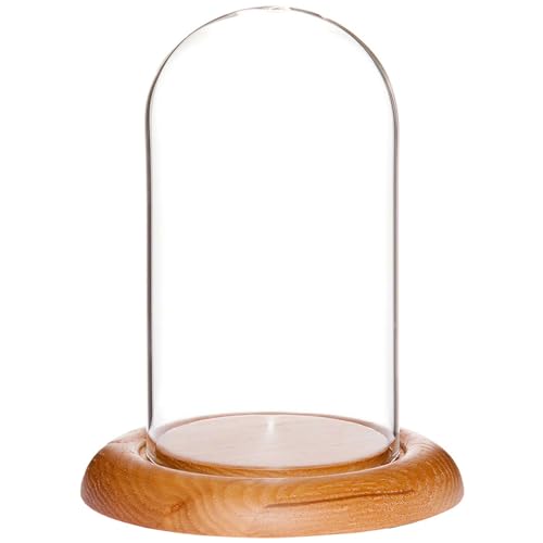 Plymor 3" x 5" Glass Display Dome Cloche (Oak Wood Base) - color: Oak Base