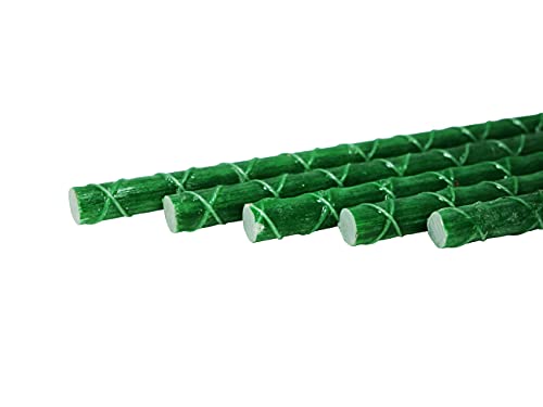 Little Tree Fiberglass 3-ft Environment Friendly Garden Stakes – Durable and Lightweight Tomato, Tree, Strawberry, Plant, Fencing Stakes with Patterned Surface (Pack of 20) Green