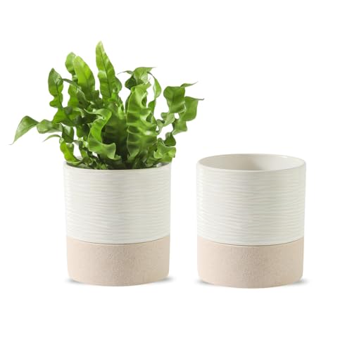 Nihow Ceramic Self Watering Plant Pot for Indoor Plants, 4.5 Inch,Set of 2 - color: Cream White & Brown, size: 4.5"+4.5" Self Watering