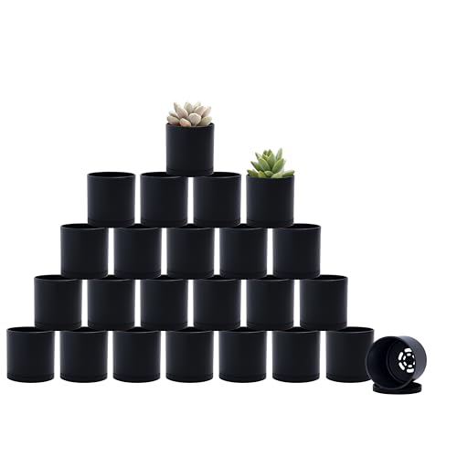 D'vine Dev 24-Pack Mini Black Plastic Planters with Saucers, 2 in, 74-Y-A-6 - size: 2"
