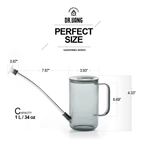 Small Watering Can Indoor Plants with Long Spout (1L, Gray) - color: Gray