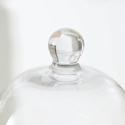 KMwares Clear Glass Display Dome Cloche Bell Jar Tabletop Decorative Case Covered Plants/Food (Medium) - size: Medium