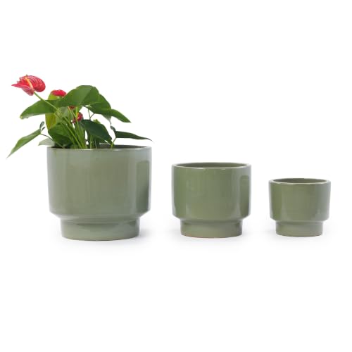 Ceramic Plant Pots with Drainage Hole, 9/12/15 Inch, Antique Light Green