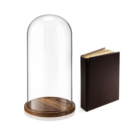 16'' × 8.66'' Glass Dome Cloche Display with Wood Base, Clear Display Jar - size: 8.66''×16''