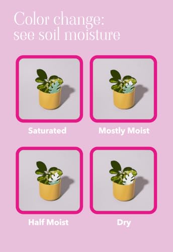 Paper-Based Soil Moisture Meter for Houseplants – Know When to Water, Prevent Overwatering – 5 Pack (PlantDoc Kitty) - style: Kitty PlantDoc - 5 Pack