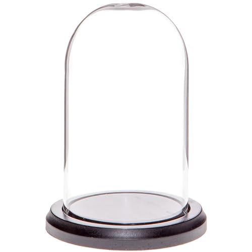 Plymor 3" x 5" Glass Display Dome Cloche (Black MDF Wood Base) - color: Black Wood Base