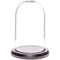 Plymor 3" x 5" Glass Display Dome Cloche (Black MDF Wood Base) - color: Black Wood Base