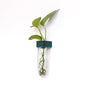Propagation Station Wall Hanging Terrarium Upcycled 3D Printed Eco Friendly Unique Plant Lover Gift (Forest) - color: Forest