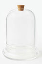 Handblown 12" Glass Terrarium with Opening for Air Flow & Cork Stopper Cloche Style Glass Dome Vivarium Display Case (Extra Large) - size: Extra Large