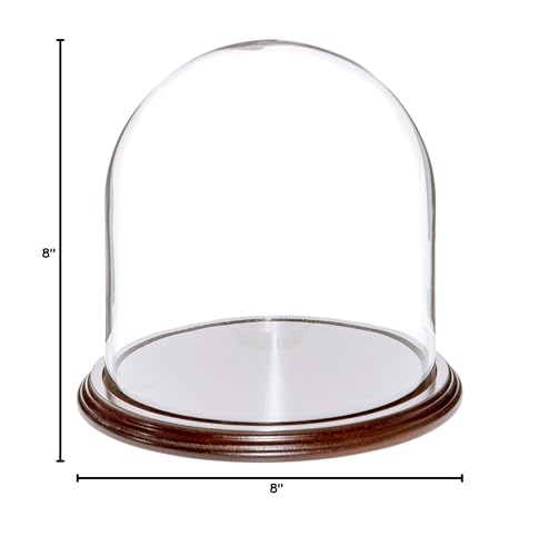 Plymor 8" x 8" Glass Display Dome Cloche (Dark Mahogany Veneer Base) - color: Dark Mahogany Veneer Base