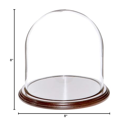 Plymor 8" x 8" Glass Display Dome Cloche (Dark Mahogany Veneer Base) - color: Dark Mahogany Veneer Base