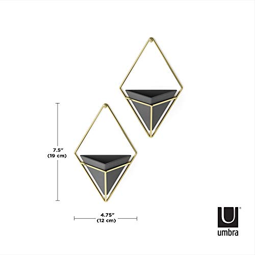 Umbra Trigg Hanging Planter for Small Plants, Set of 2, Small, Black/Brass - color: Black/Brass, size: Small