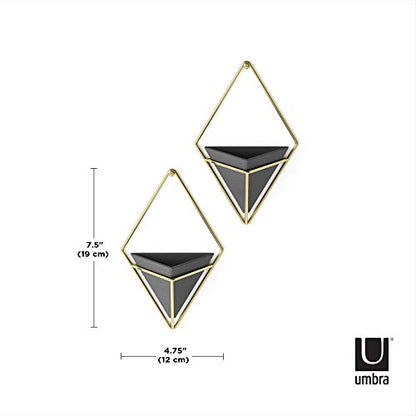 Umbra Trigg Hanging Planter for Small Plants, Set of 2, Small, Black/Brass - color: Black/Brass, size: Small