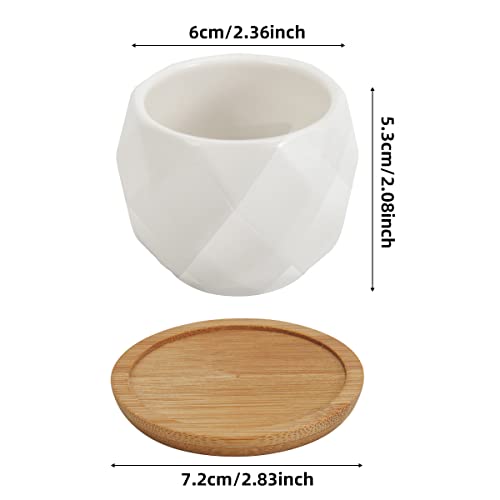 ZOUTOG 12 Pack 2.5" Square Ceramic Succulent Pots with Bamboo Tray - size: 2.5 inch