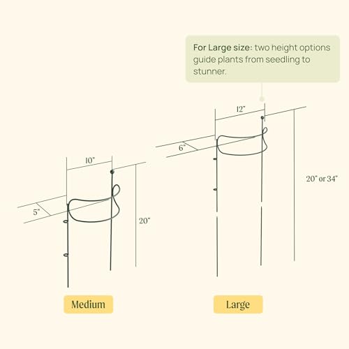6 Pack Curved Plant Support Stakes, Dual Half Round Metal Garden Plant Stake, Peony Cages and Supports, 10"(W) x 20" (H) Flower Support Ring for Peonies, Hydrangea - size: Medium