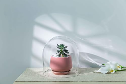 CYS EXCEL Glass Cloche Dome (H:10" D:9.75") | Multiple Sizes Decorative Showcase Display for Antique Collectibles | Bell Jar Terrarium & Dessert Cover - size: H-10" D-9.75"