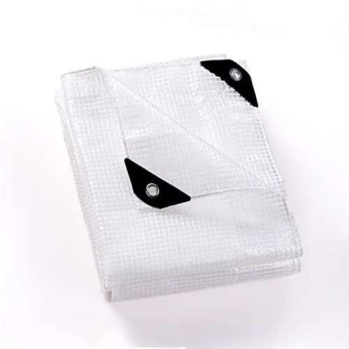 GUARD SHIELD Clear White Tarp Heavy Duty 8x10 Feet Waterproof for Greenhouse Outdoor Garden Poly Cover UV Resistant 3x3 Weave 10mil - color: Clear Leno / White, size: 8x10