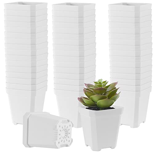 JOIKIT 120 Pack 3 Inch White Square Nursery Pot, Plastic Square Plant Pot with Drainage Hole, Seedling Nursery Transplant Planter for Indoor, Outdoor, Garden, Office, Balcony - color: White, size: 3 Inch 120 PCS