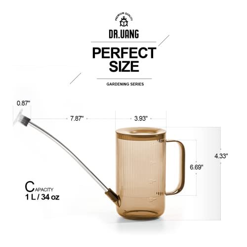 Small Watering Can Indoor Plants with Long Spout (1L, Amber Brown) - color: Amber Brown
