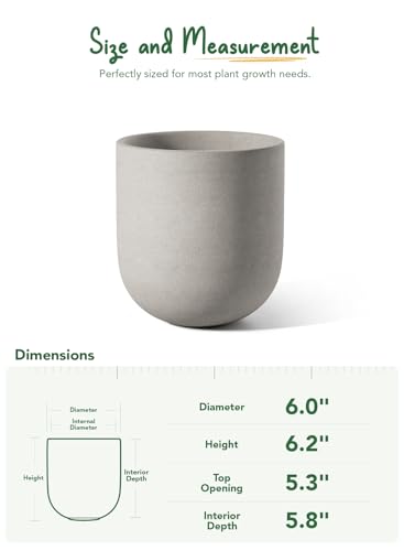 LE TAUCI 6 Inch Ceramic Plant Pot, Small Indoor Planter, Neutral Gray - color: Neutral Gray, size: 6 Inch