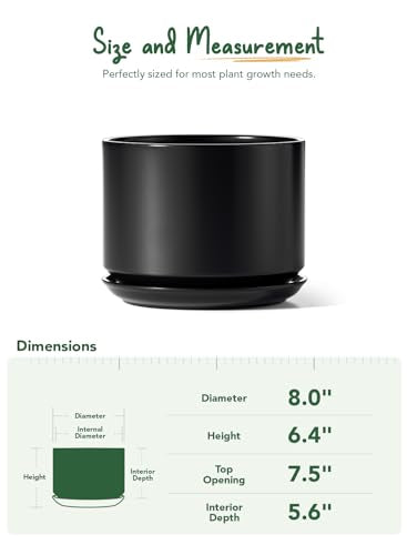 LE TAUCI 8 Inch Plant Pot, Ceramic Pots for Plants, Black - color: Black, size: 8"