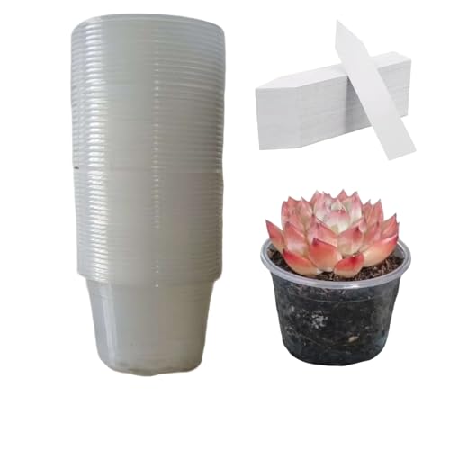 50 Pack2.7 Inch Clear Nursery Pots, Clear Plant Pots with Drainage, Plastic Planters, Plant Seedling Pots for Indoor Outdoor Gardening(with 50 Plant Labels) - size: 2.7in