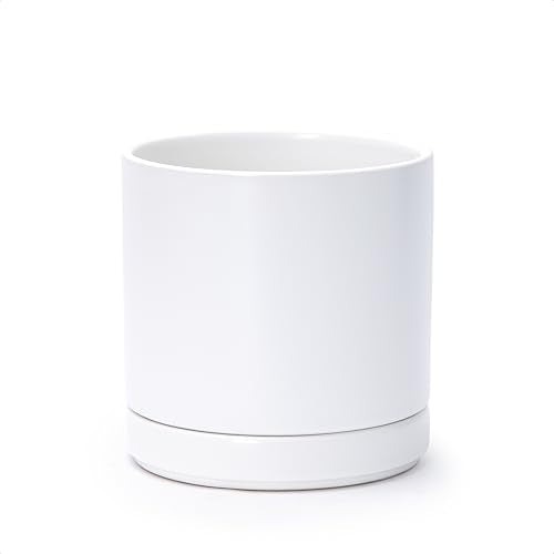 D'vine Dev 6.5 Inch Ceramic Planter Pot, White, 94-O-C-1 - color: White, size: Small