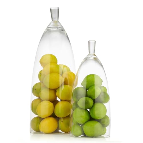 Z Gallerie Jules Cloche Hand-Blown Glass Display Dome, Clear,Small - size: 6.5" DIAMETER 15" TALL