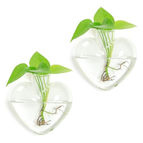 XXXFLOWER Propagation Wall Hanging Vases Planters, 2 Pack Love Water Vases - size: 2 Love Wall Hanging