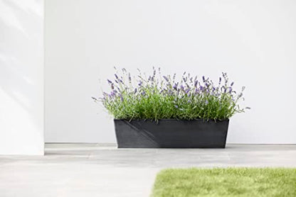 Ecopots Bruges Rectangular Flower Planter, Dark Grey, 31.5" - color: Dark Grey, size: 31.5"
