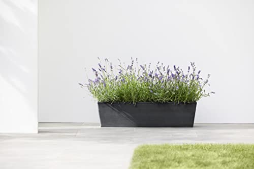 Ecopots Bruges Rectangular Flower Planter, Dark Grey, 17.75" - color: Dark Grey, size: 17.75"