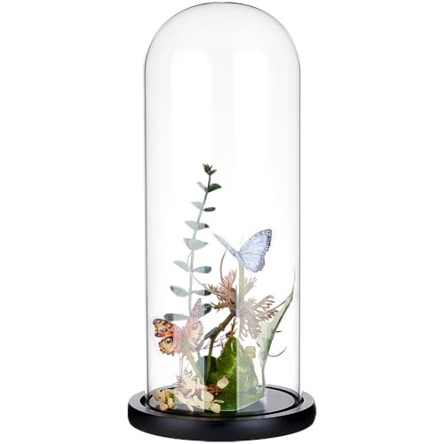 BENECREAT 4.6x12inch Eternal Transparent Flower Glass Cover, Glass Display Dome Cloche Jar with Black Solid Wood Base for DIY Flower Craft - color: Black