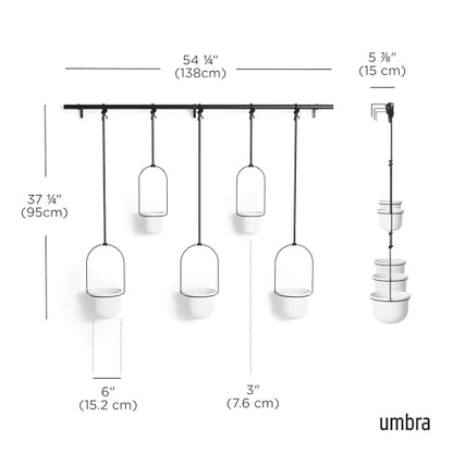 Umbra Triflora Hanging Planter, Window Herb Garden, Set of 5, White/Black - color: White/Black, size: Set of 5, style: Set of 5