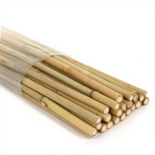 SWANGSA 45 Pack Bamboo Stakes for Plant 6 Feet, Bamboo Sticks for Garden Plant Support Stakes Poles for Tomatoes, Beans, Flowers, Potted Plants, Indoor and Outdoor Climbing Plants - size: 6 Feet - 45 Pack