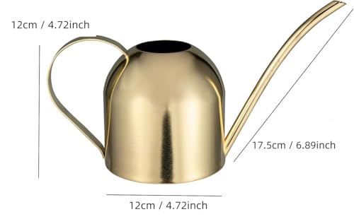 IMEEA 30oz Indoor Plant Watering Can Stainless Steel Long Spout, Gold - color: 30oz (1l) - Gold