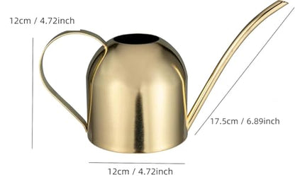 IMEEA 30oz Indoor Plant Watering Can Stainless Steel Long Spout, Gold - color: 30oz (1l) - Gold