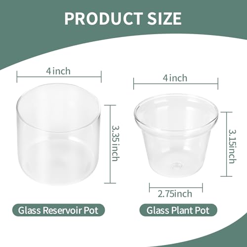 4 Inch Glass Plant Pot for Indoor Plants,Home Table Decoration