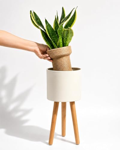 Bamworld Single Plant Holder for Indoor Plants Metal Planter Stand 6.9in - color: Matte Black, size: Small - 7in
