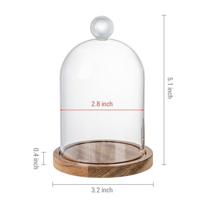 MyGift Mini Clear Glass Bell Display Cloches with Premium Acacia Solid Wood Base, Decorative Dome Cover Stands for Small Heirloom Jewelry Curios Keepsakes, Set of 2