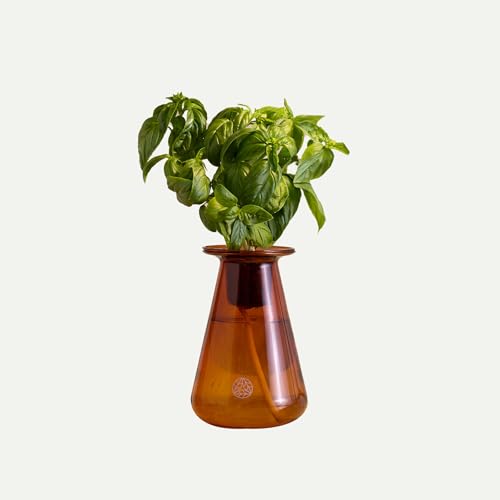 Lettuce Grow Counterstand | Hydroponic Garden Kit with LED Grow Light