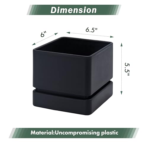 D'vine Dev Plastic Herb Planter Pot, 6 in, Black, 76-Y-B1-2 - color: Black, size: 6 Inch x 6.5 Inch
