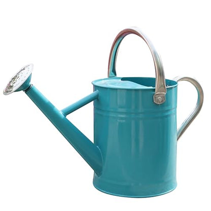 Metal Watering Can for Outdoor Plants, Watering Can 1 Gallon (Leaf Green) - color: 006 Leaf Green