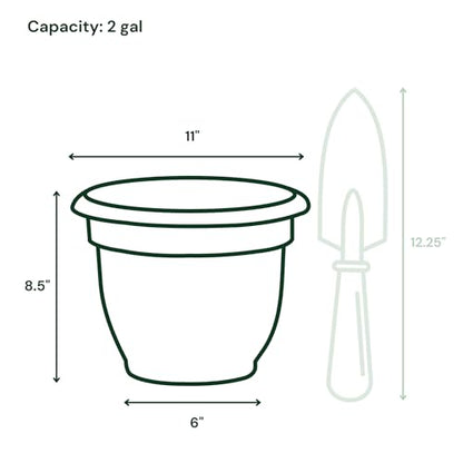 Bloem Ariana 10" Plastic Self-Watering Planter, Dusty Rose, 4-Pack - color: Dusty Rose, size: 10" (Pack of 4)