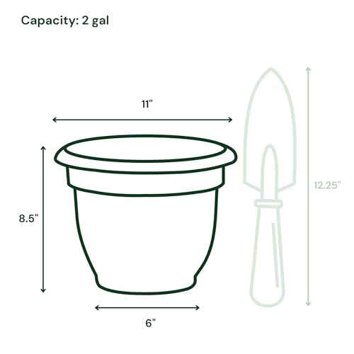 Bloem Ariana 10" Plastic Self-Watering Planter, Charcoal, 4-Pack - color: Charcoal, size: 10" (Pack of 4)