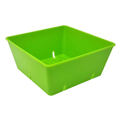 Bootstrap Farmer 5x5 Grow Trays, 80 Pack, Green | Extra Thick Inserts for Microgreens, Wheatgrass and Seedling Propagation - color: Green, size: 80 Pack