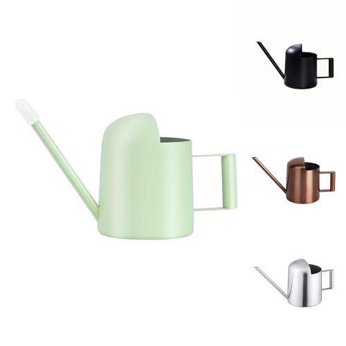 Mini Watering Can, 10oz/300ml Stainless Steel Long Spout Small Watering Can for Indoor Plants Succulents, Herbs (Green) - color: Green