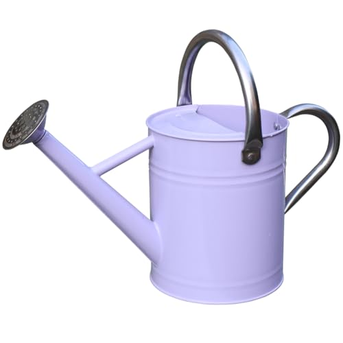 Metal Watering Can 1 Gallon for Outdoor Garden Plants,Purple - color: Purple With Stainless Steel Handle